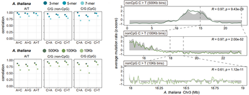 73C6BC069CB8F3D83AE092A1EFF_1C992843_13BE2