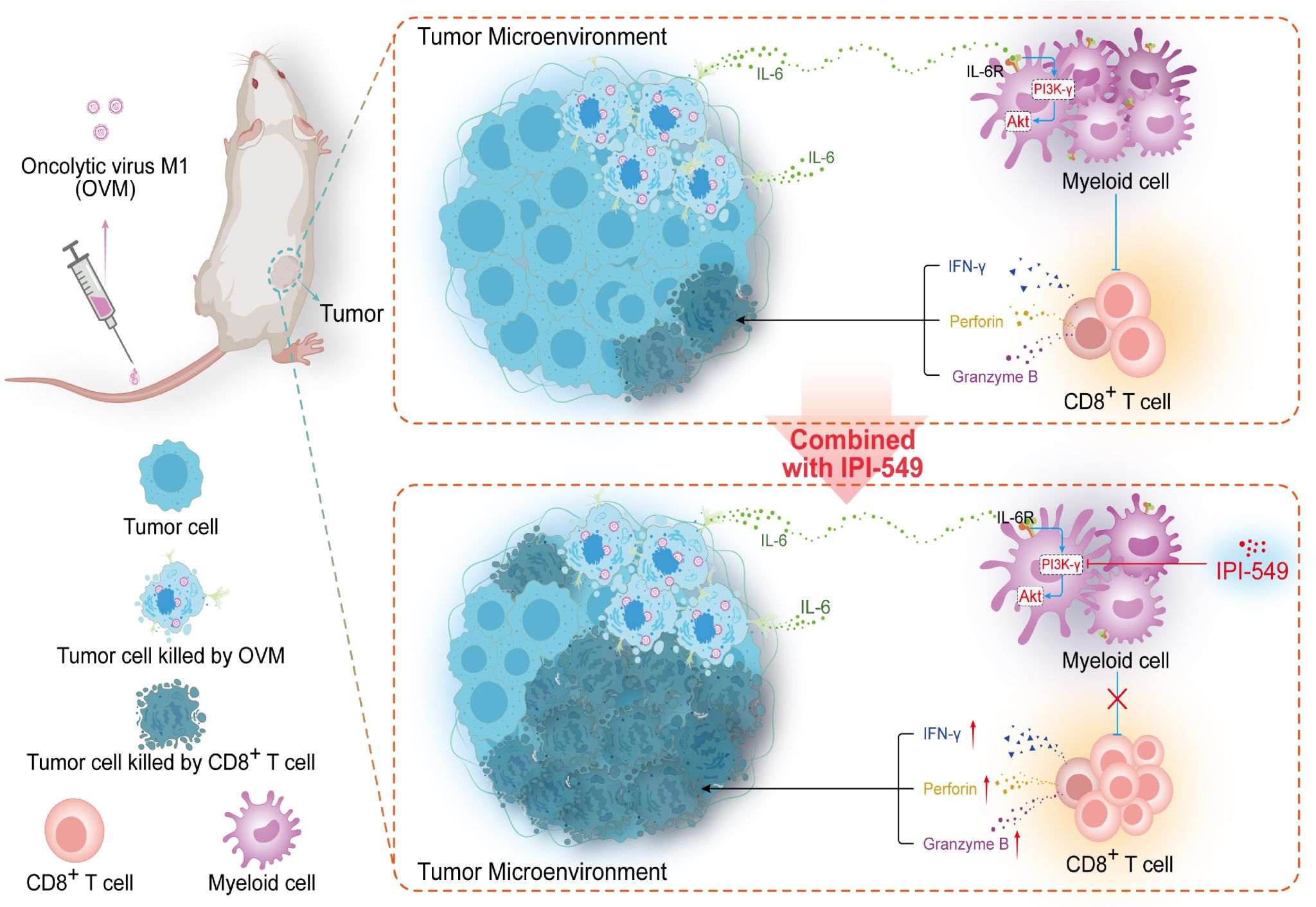383E751797080FE74D179C36F34_2BF88972_438D9