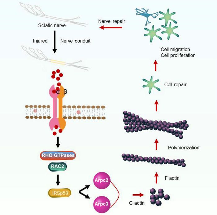8701180D8D82F41F0441D1A436C_CF9E3B52_B9DA 8701180D8D82F41F0441D1A436C_CF9E3B52_B9DA