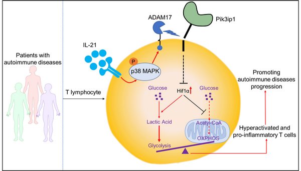 8B8A4BF44966A275B0B9C04572F_DD050B51_21161