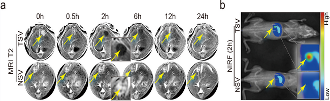 ��ҳ|ng������Ϸ�й����Źٷ���վ