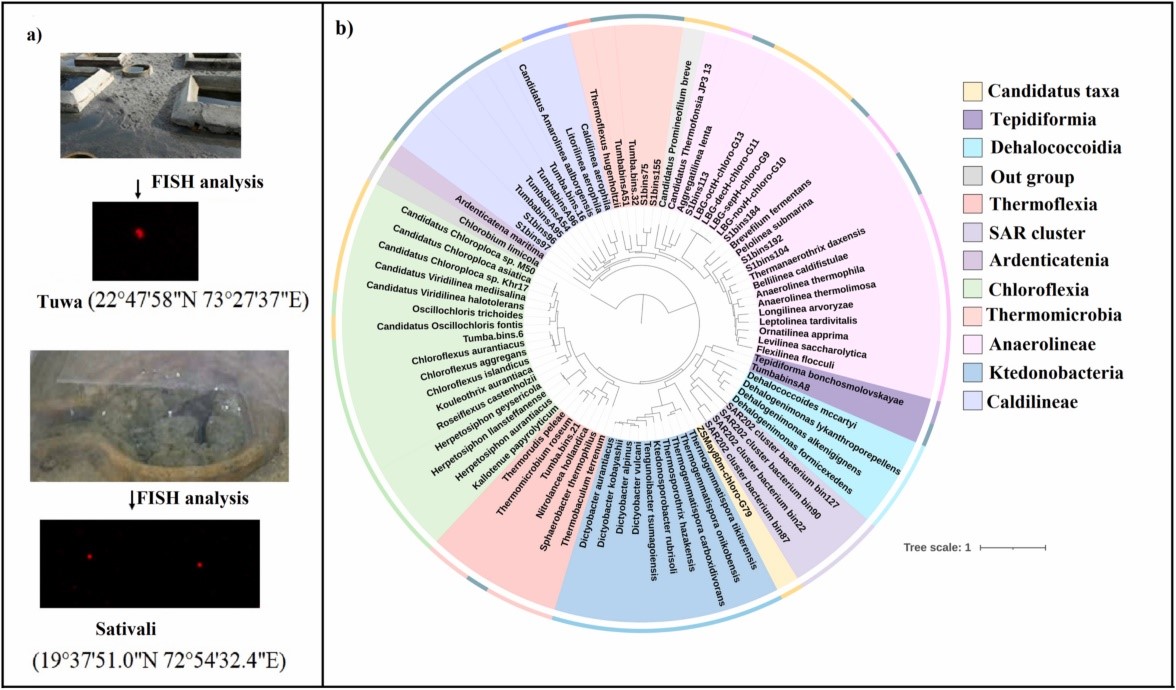 ��ҳ|ng������Ϸ�й����Źٷ���վ