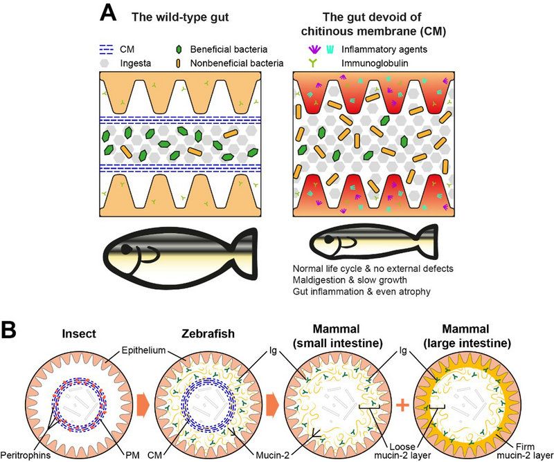 0D04FCD9A73B5C797DFC43DB1DF_166C9FEC_1C5F4