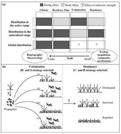 ��ҳ|ng������Ϸ�й����Źٷ���վ