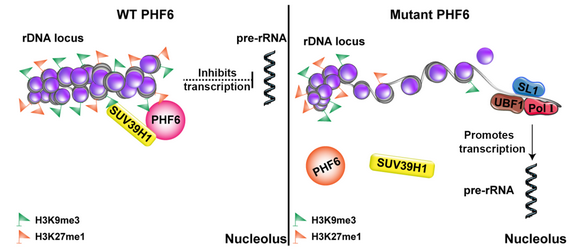 ��ҳ|ng������Ϸ�й����Źٷ���վ
