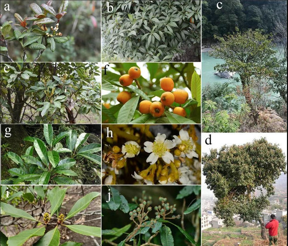 ��ҳ|ng������Ϸ�й����Źٷ���վ