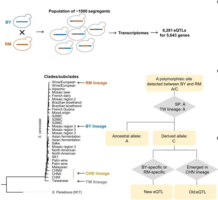 BEB65094CB91A168844ECC29CB0_20AC584A_D9ED