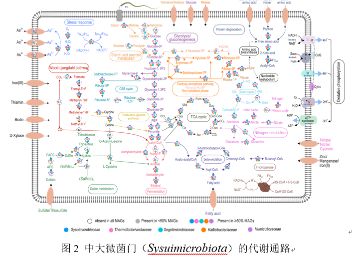 4D936896FF7717C564F4C58D629_287922AD_335A6