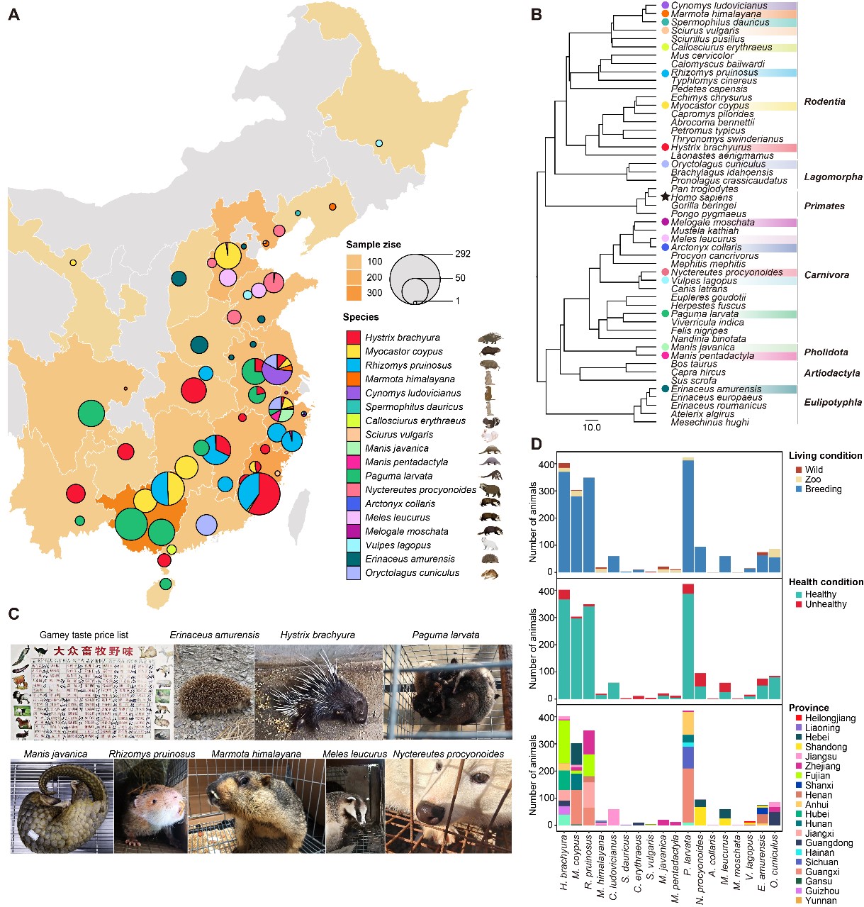 ��ҳ|ng������Ϸ�й����Źٷ���վ