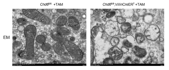 D8FC1D3377E892E8D1EFE3066B8_9FBDDE53_2E8A6