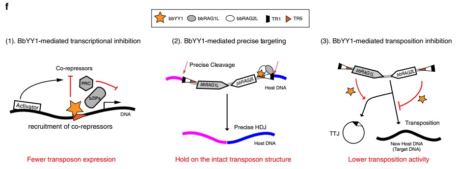 ��ҳ|ng������Ϸ�й����Źٷ���վ