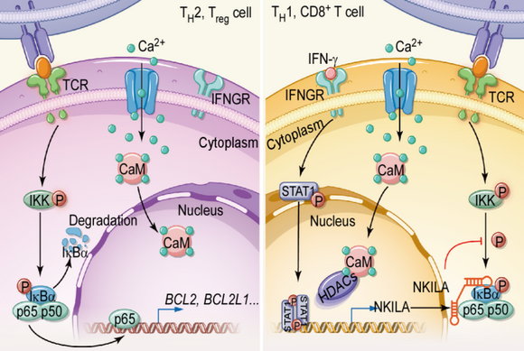 ��ҳ|ng������Ϸ�й����Źٷ���վ