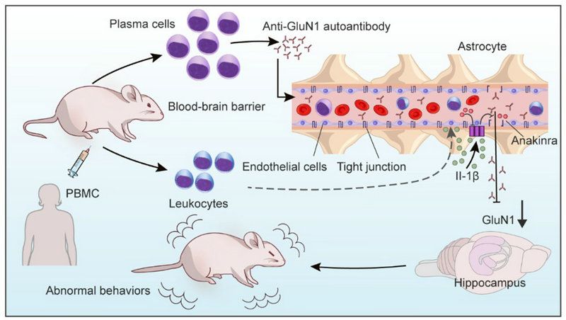 ED481F86FB93419F1A4760309FE_E9784A7C_E914
