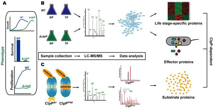 2DC6426B12311069CFC3690D873_C3394DE0_A9A9