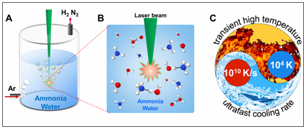 71863E8E89C29F63A9876682B36_B6314036_CE16