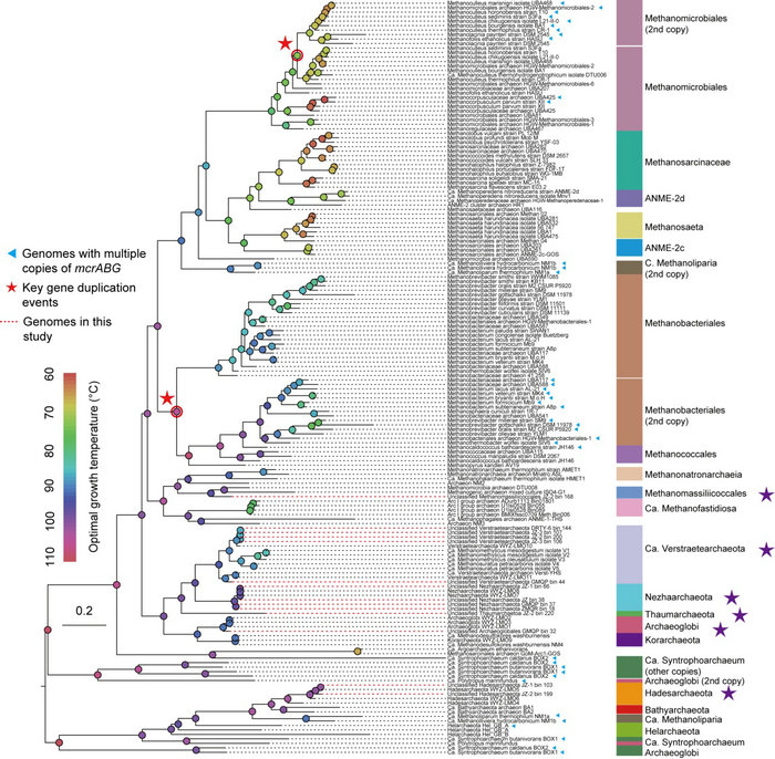 ��ҳ|ng������Ϸ�й����Źٷ���վ