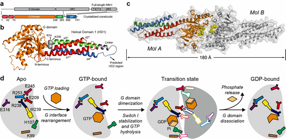 ��ҳ|ng������Ϸ�й����Źٷ���վ