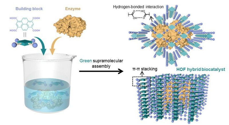 85730250C58B248058E8C243BC0_82EFD32B_DF76