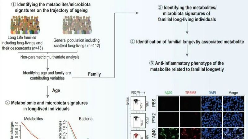 ��ҳ|ng������Ϸ�й����Źٷ���վ