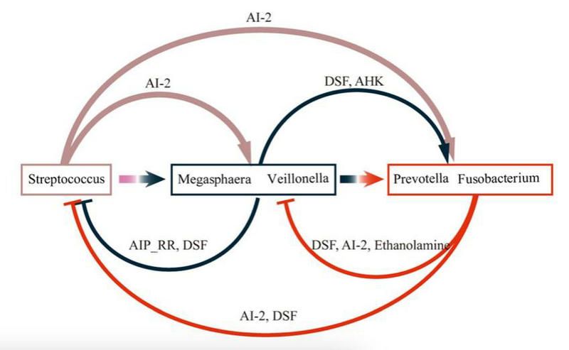 2522ACB2FAE2874597EFBA114B6_016CB40B_8EA1 2522ACB2FAE2874597EFBA114B6_016CB40B_8EA1