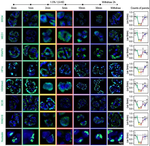 ��ҳ|ng������Ϸ�й����Źٷ���վ