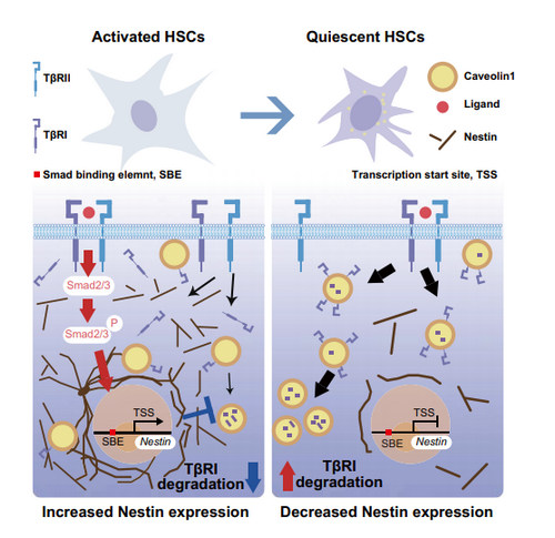 ��ҳ|ng������Ϸ�й����Źٷ���վ