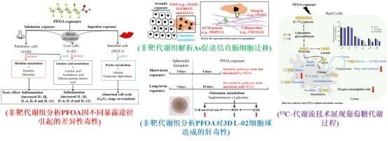 DCE223FAA6A0D47AF12386FC54D_31123827_6AD2