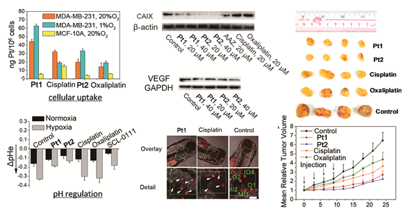 ��ҳ|ng������Ϸ�й����Źٷ���վ