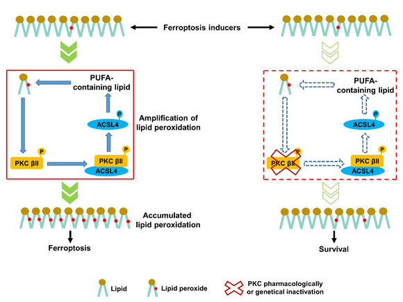 ��ҳ|ng������Ϸ�й����Źٷ���վ