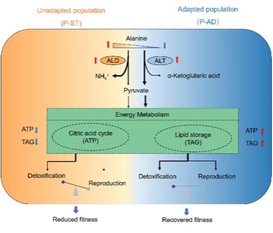 ��ҳ|ng������Ϸ�й����Źٷ���վ