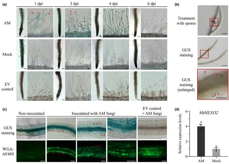 F7F61F7113EC7F2F4AF8EED4A66_CF2FBB1E_142B4