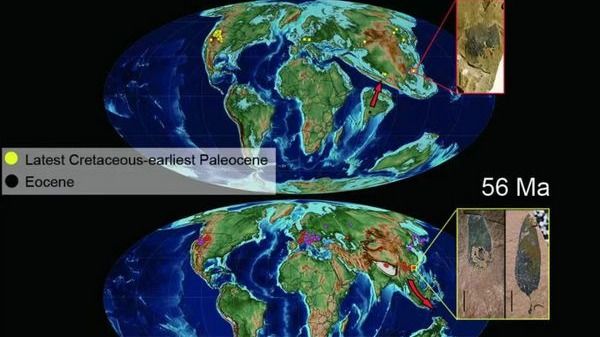 ��ҳ|ng������Ϸ�й����Źٷ���վ