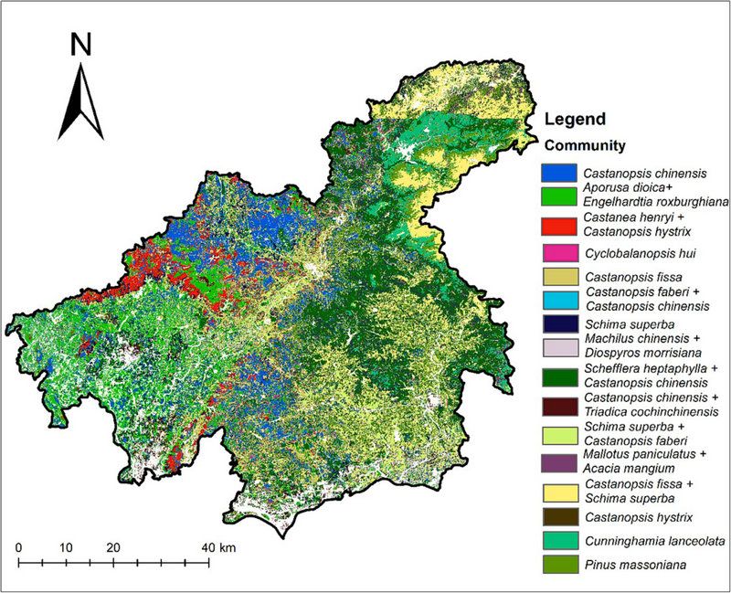 59513441991A87F19FDE3301D6D_BA2F8223_233E8