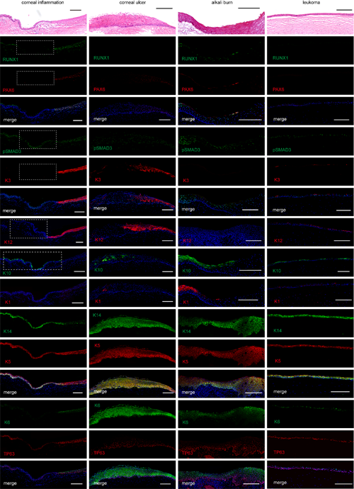 F93B5D9741C0D1E7D8958111D87_A78A9FCB_3C6FE.png?e= Ê×Ò³|ngµç×ÓÓÎÏ·Öйú¼¯ÍŹٷ½ÍøÕ¾