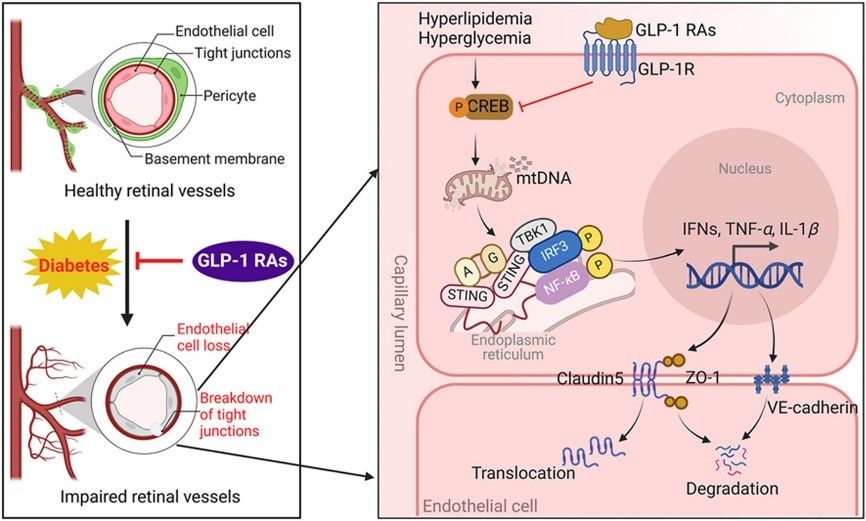 5166B153EB96E2A5E4473E8789B_70EB9F3A_12EC1