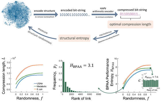 ��ҳ|ng������Ϸ�й����Źٷ���վ