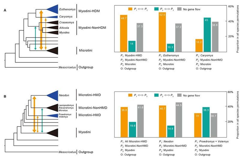 92D09F56A38FE53D920D03CF523_B4EC7FD9_F4A1
