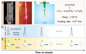 F6CF702E1B0DE4D545DE6D2131B_A45D6FC1_F567