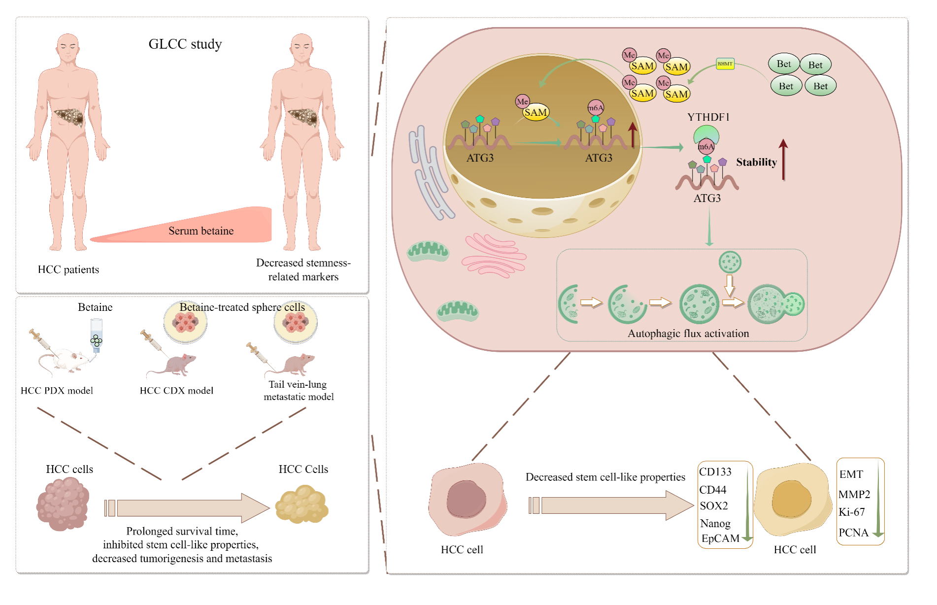 D9FA84B345E1110D3F8AB7A1CCB_EF22A29E_74BBA