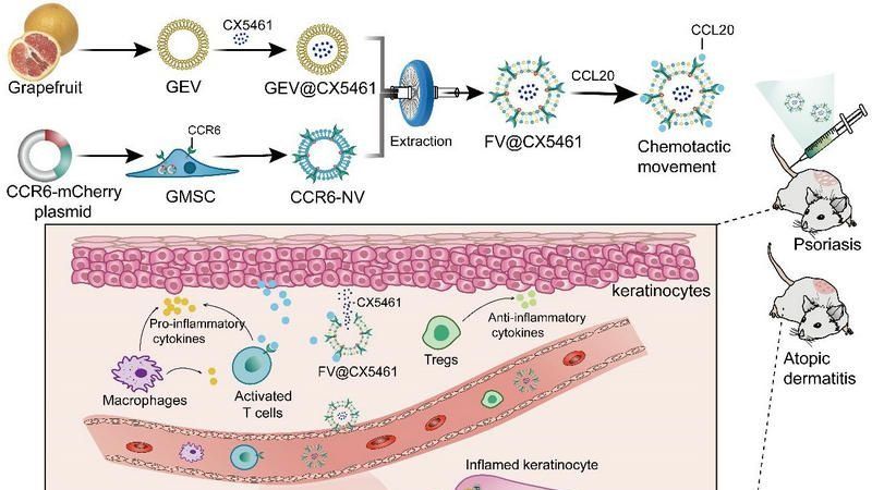��ҳ|ng������Ϸ�й����Źٷ���վ