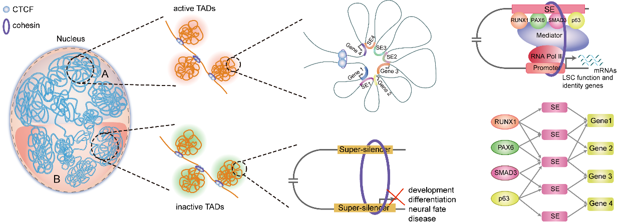 ��ҳ|ng������Ϸ�й����Źٷ���վ