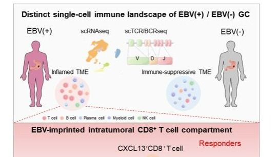 ��ҳ|ng������Ϸ�й����Źٷ���վ