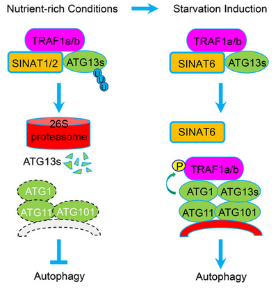 ��ҳ|ng������Ϸ�й����Źٷ���վ