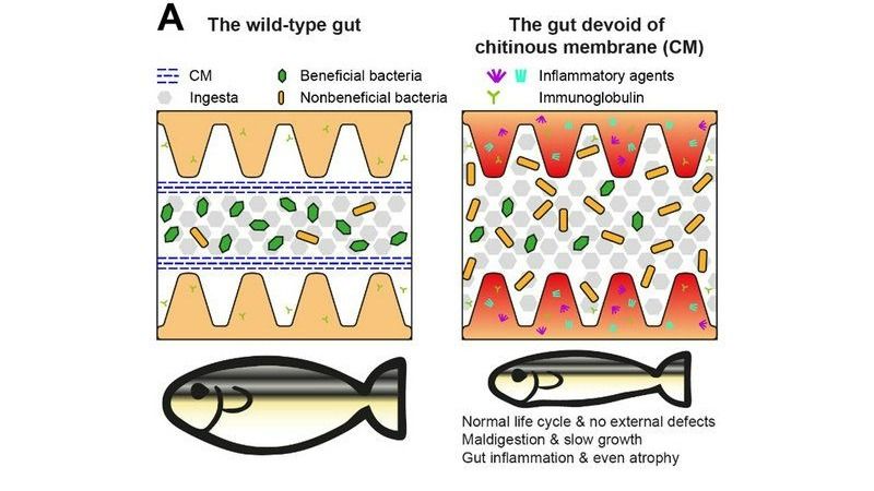 ��ҳ|ng������Ϸ�й����Źٷ���վ