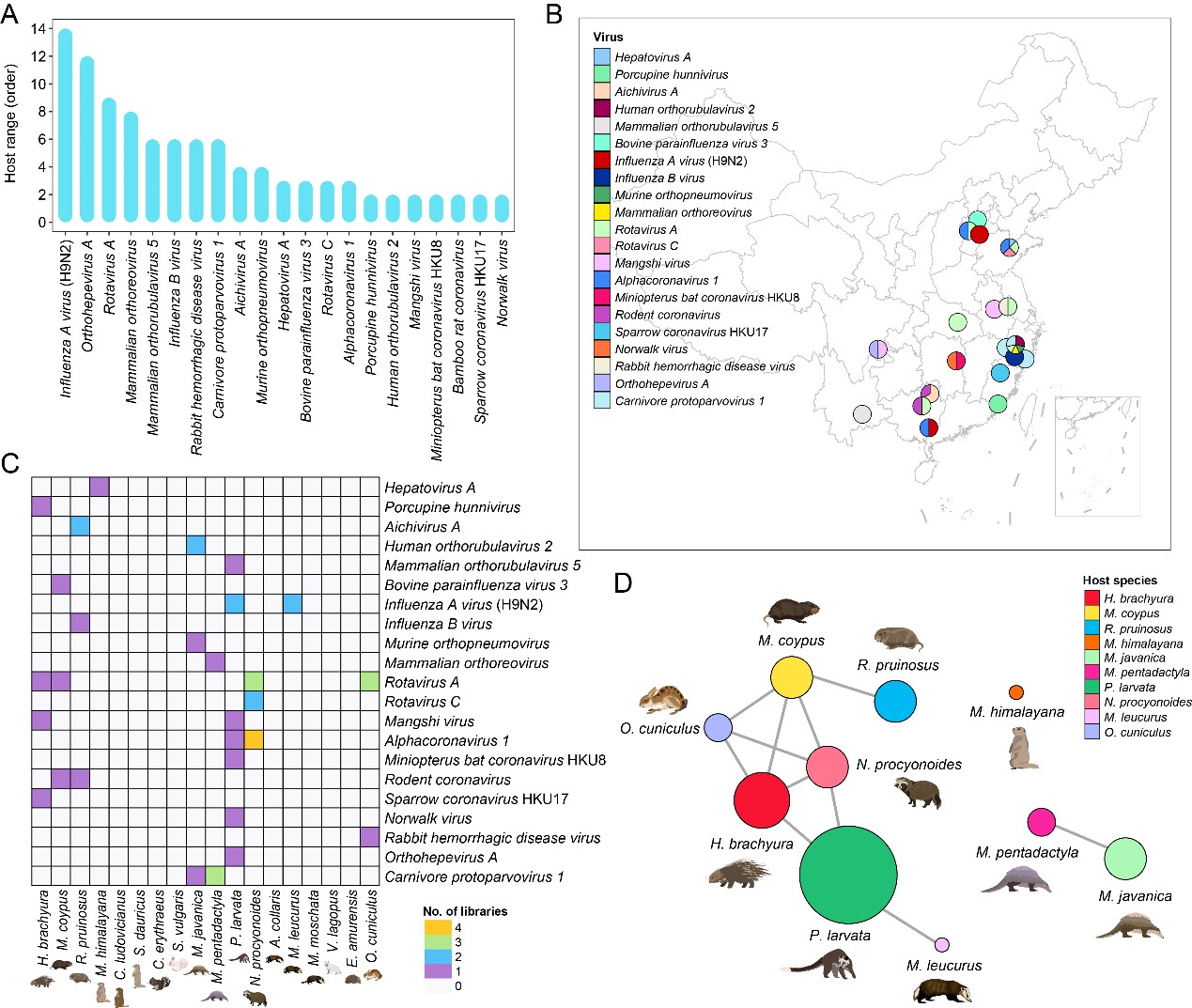 ��ҳ|ng������Ϸ�й����Źٷ���վ
