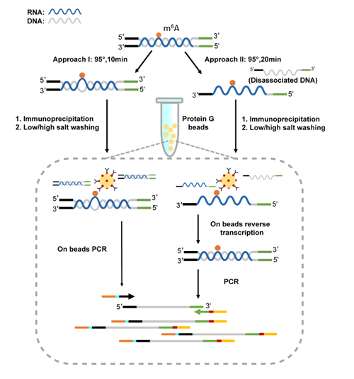 ��ҳ|ng������Ϸ�й����Źٷ���վ