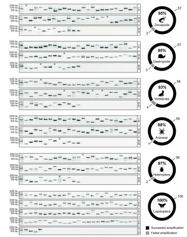 2497F830382D5C1A9E7487F05E0_E739C452_B92F