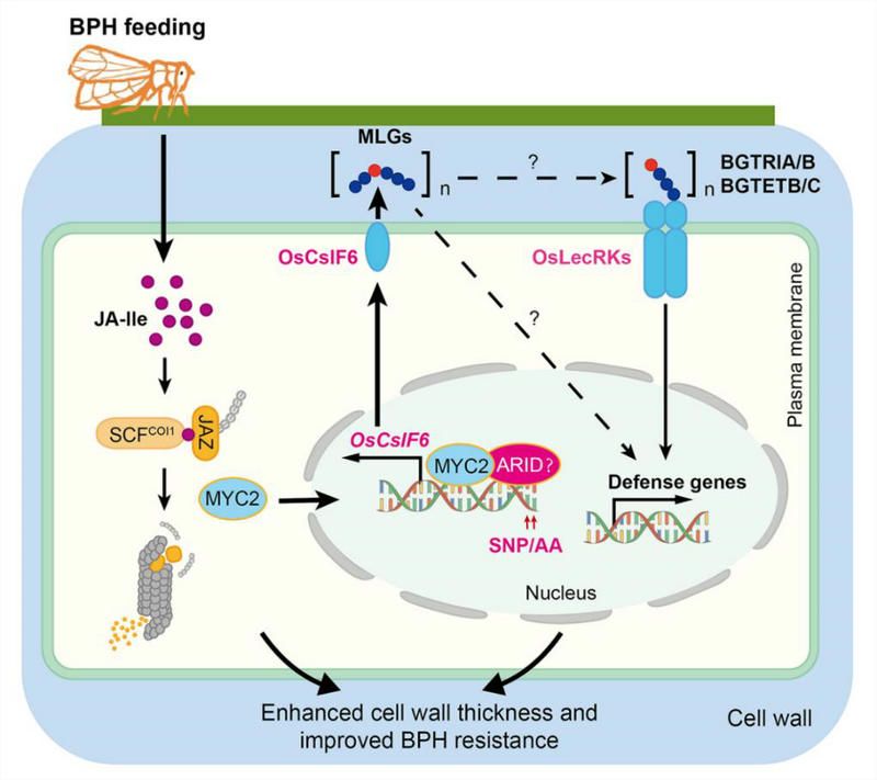 DA9F176E51473509F970286B234_337552D1_F603