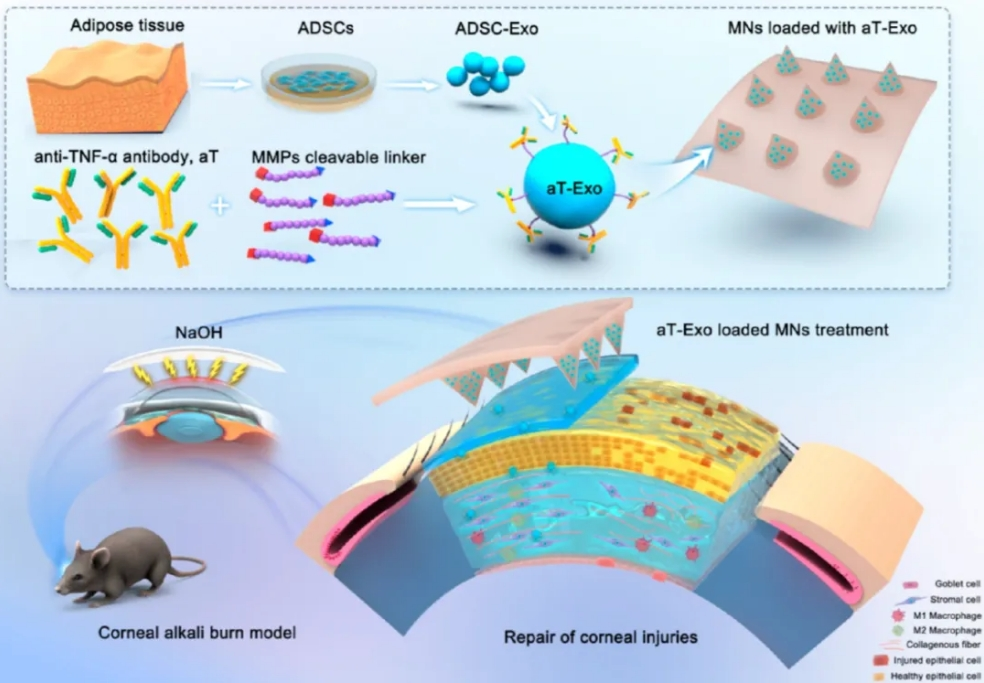 1B8764CB1F3D48B71D5AFEA3E81_F6419276_E72B9