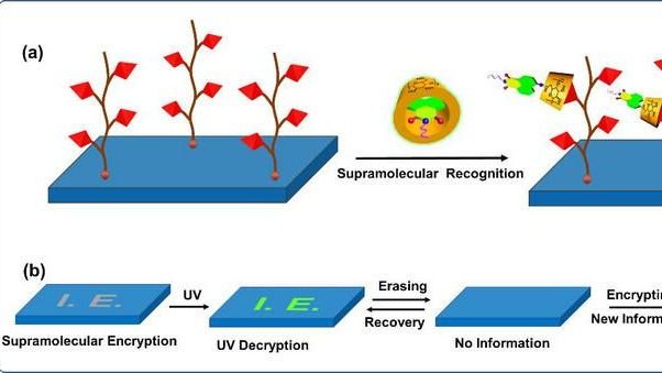 ��ҳ|ng������Ϸ�й����Źٷ���վ